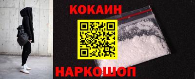 крисы Моздок