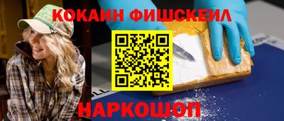 крисы Моздок