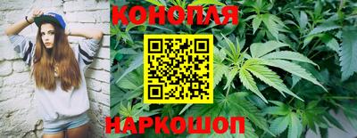 шишки Можга