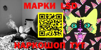 крисы Моздок