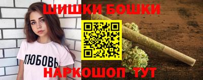 крисы Моздок