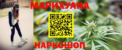 крисы Моздок