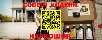 крисы Моздок
